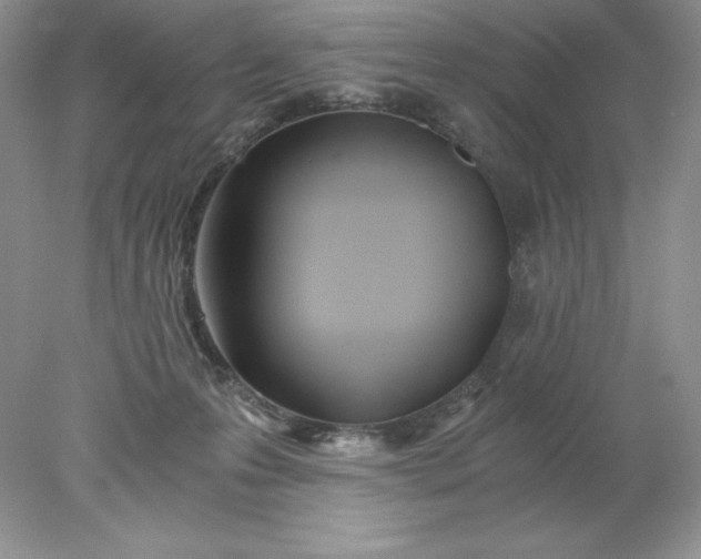 X0000078260223200611172013