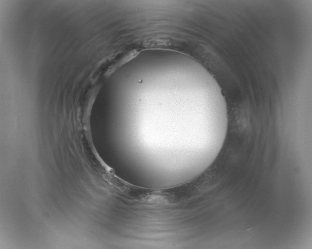 X0000078260224200611172013