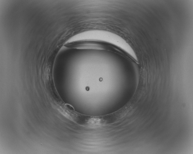 X0000078260227200611172013