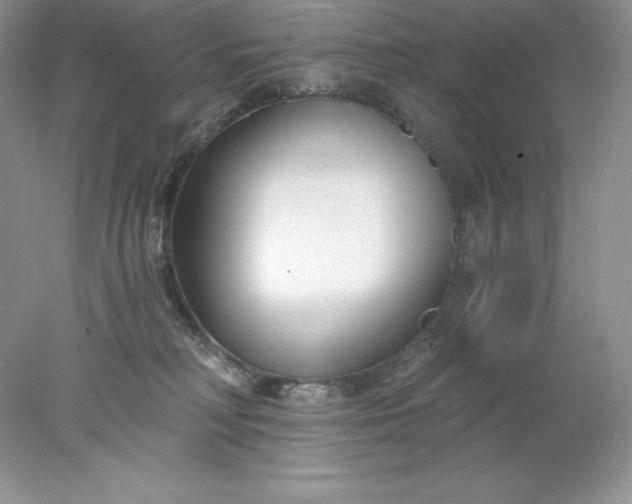 X0000078260230200611172013