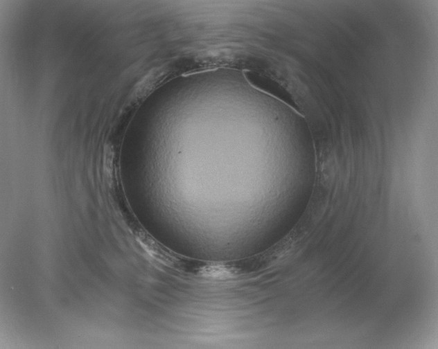 X0000078260231200611172013