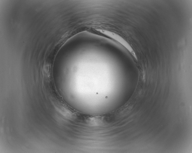 X0000078260232200611172013