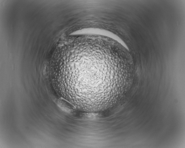 X0000078260233200611172013