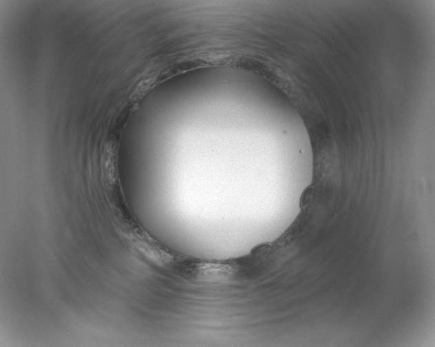 X0000078260234200611172013