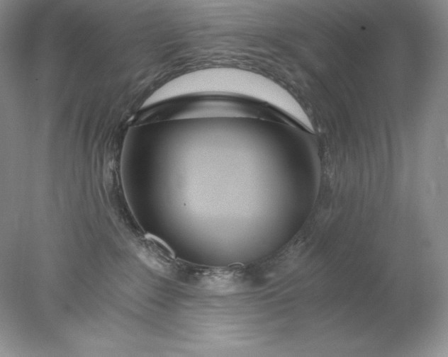 X0000078260235200611172013