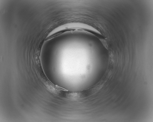 X0000078260237200611172013