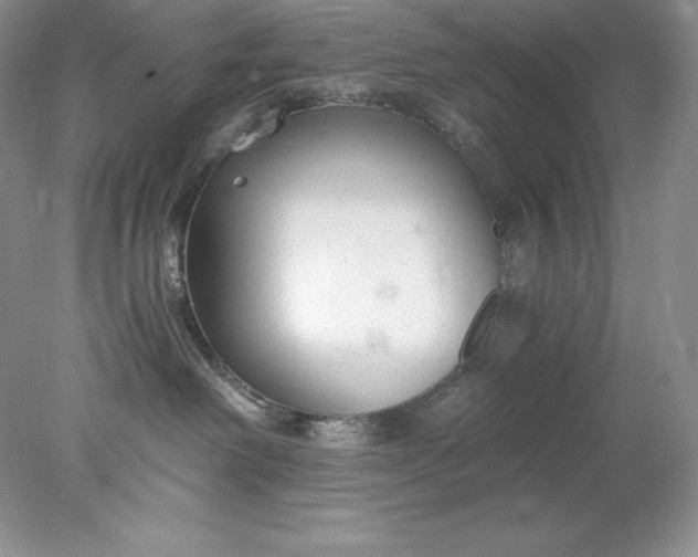 X0000078260238200611172013