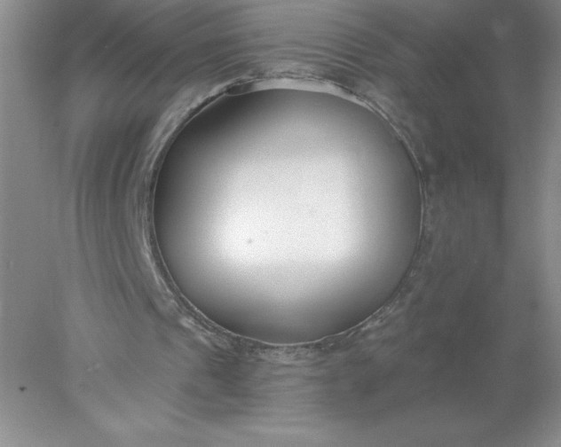 X0000078260241200611172012