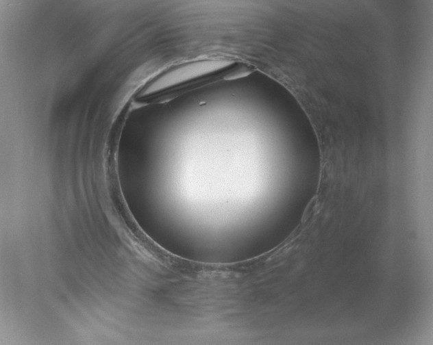 X0000078260242200611172012