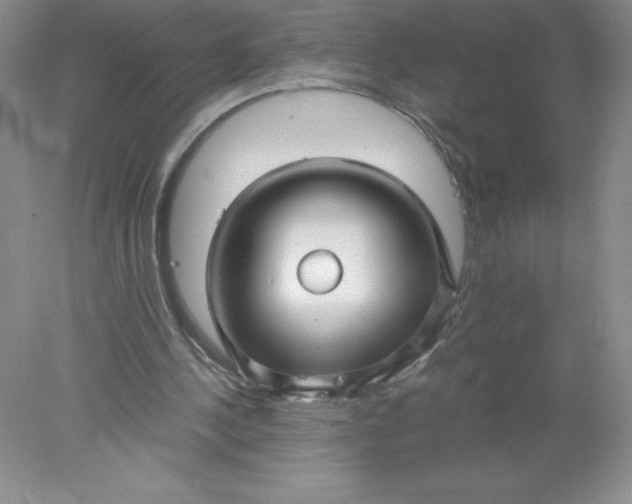 X0000078260244200611172012