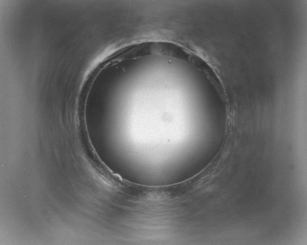 X0000078260248200611172012