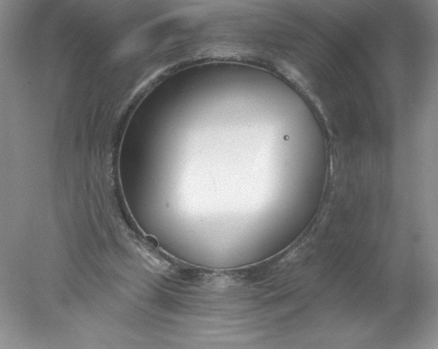 X0000078260249200611172012