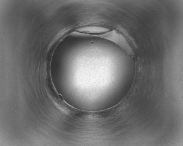 X0000078260250200611172012