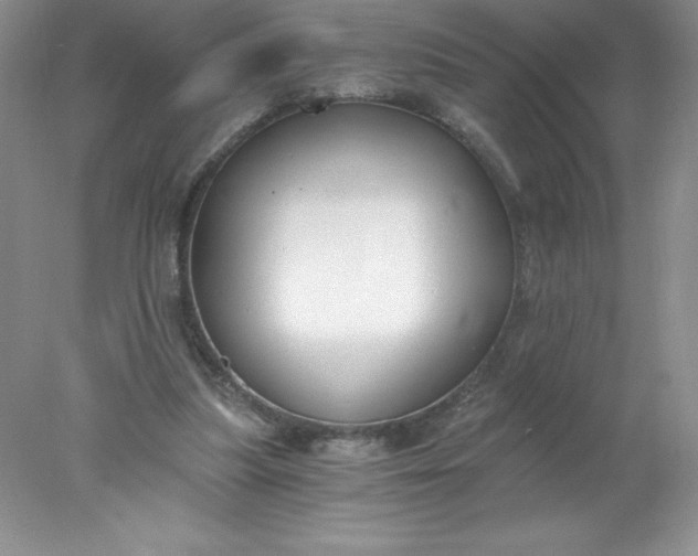 X0000078260251200611172012