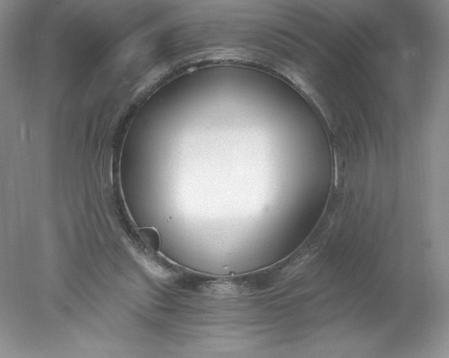 X0000078260253200611172012