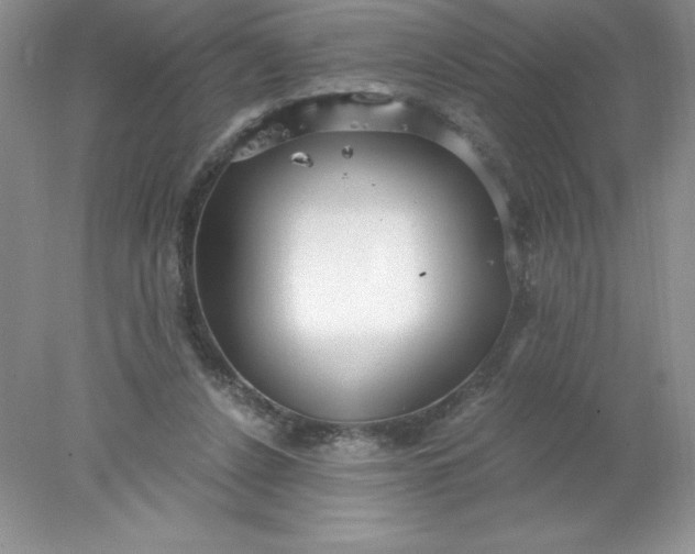 X0000078260256200611172012
