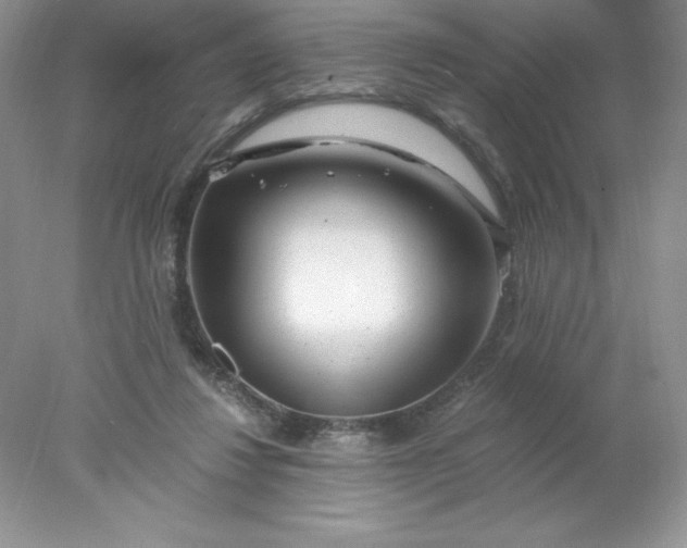 X0000078260260200611172012