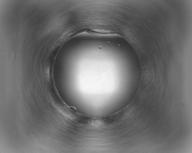 X0000078260262200611172012