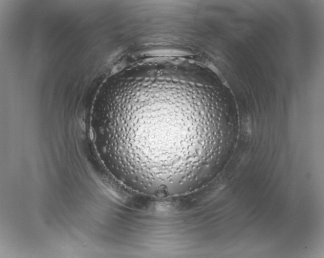 X0000078260264200611172012