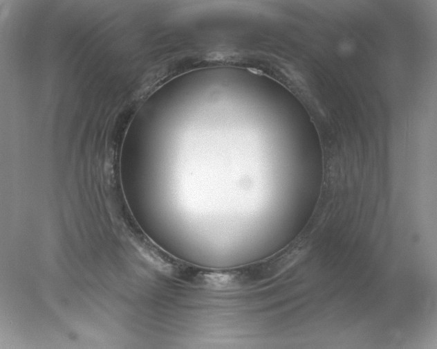 X0000078260265200611172012