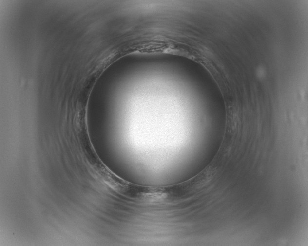 X0000078260266200611172012
