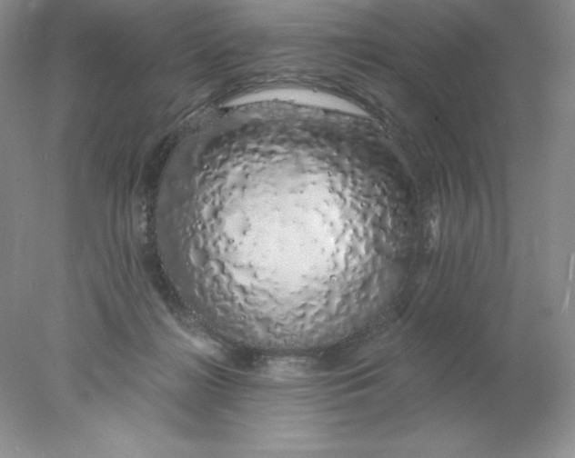 X0000078260268200611172012