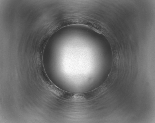 X0000078260270200611172012