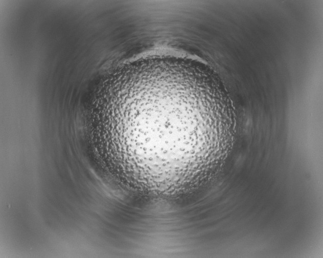 X0000078260272200611172012