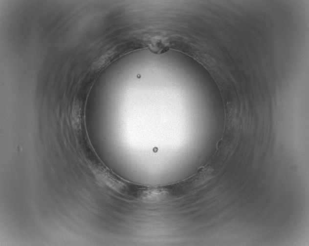 X0000078260274200611172012