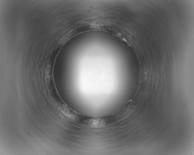 X0000078260275200611172012