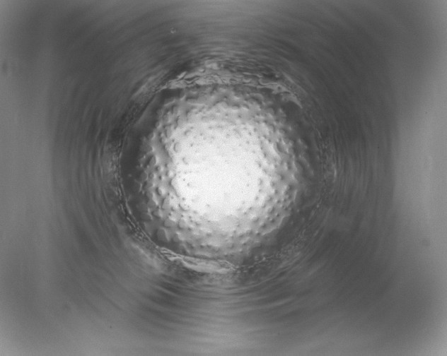 X0000078260276200611172012
