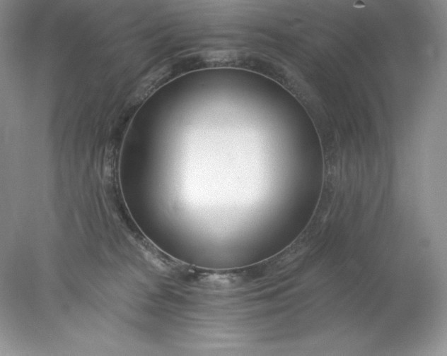 X0000078260277200611172012