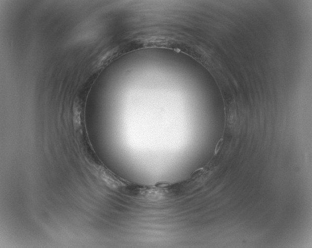 X0000078260282200611172012