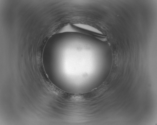 X0000078260283200611172012