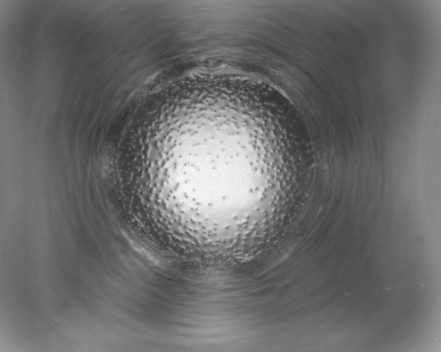X0000078260284200611172012