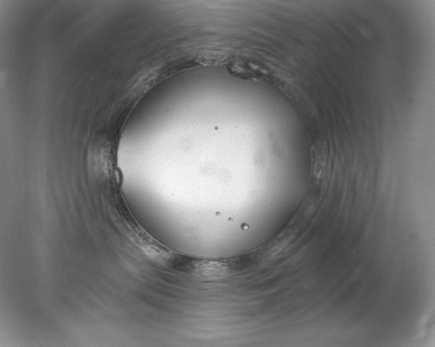 X0000078260287200611172013