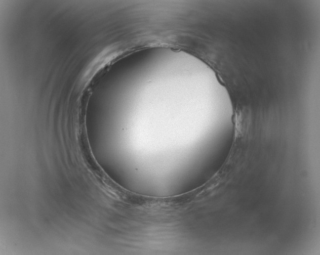 X0000078260291200611172012
