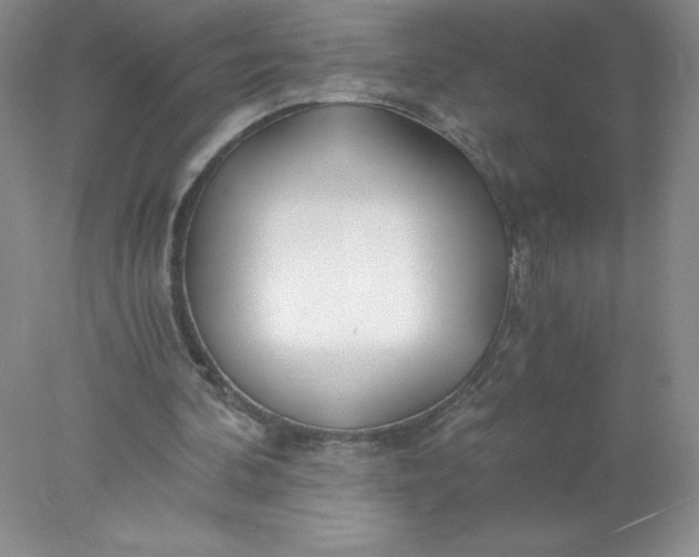 X0000078260292200611172012
