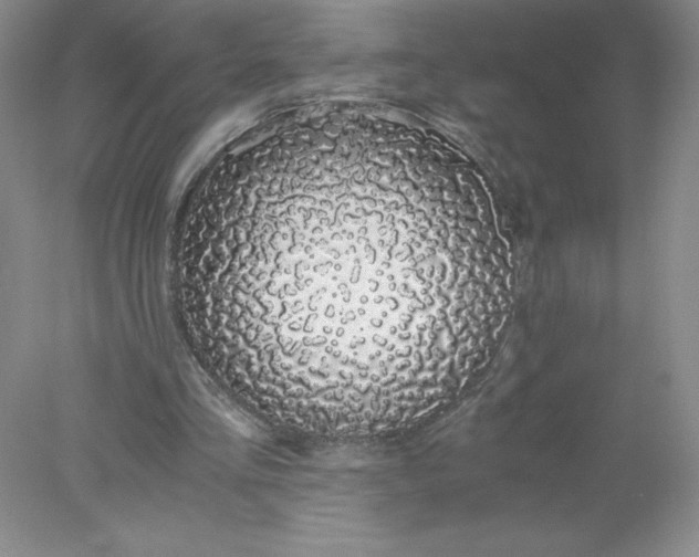 X0000078260293200611172012