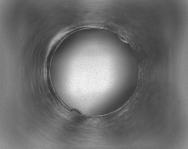 X0000078260294200611172012