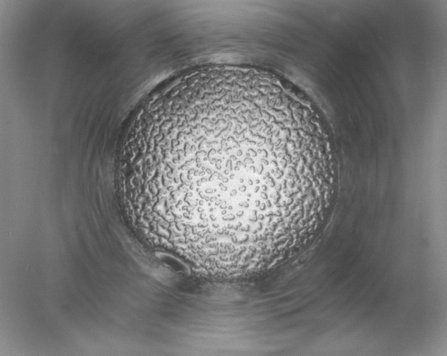 X0000078260297200611172012