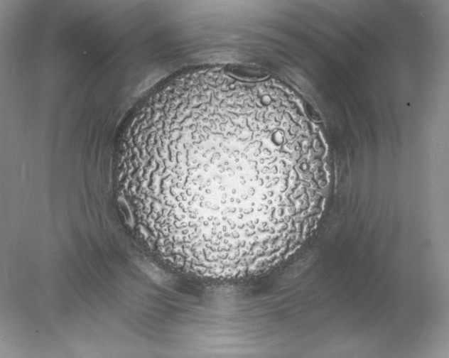 X0000078260301200611172012
