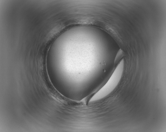 X0000078260303200611172012