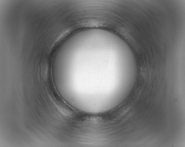 X0000078260304200611172012