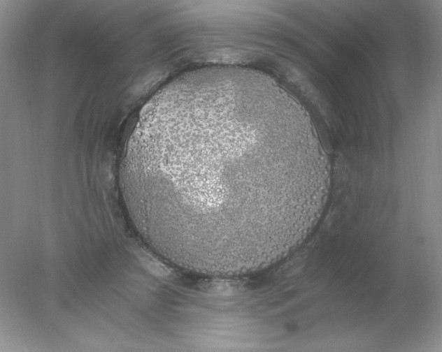 X0000078260305200611172011