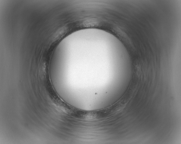 X0000078260308200611172011