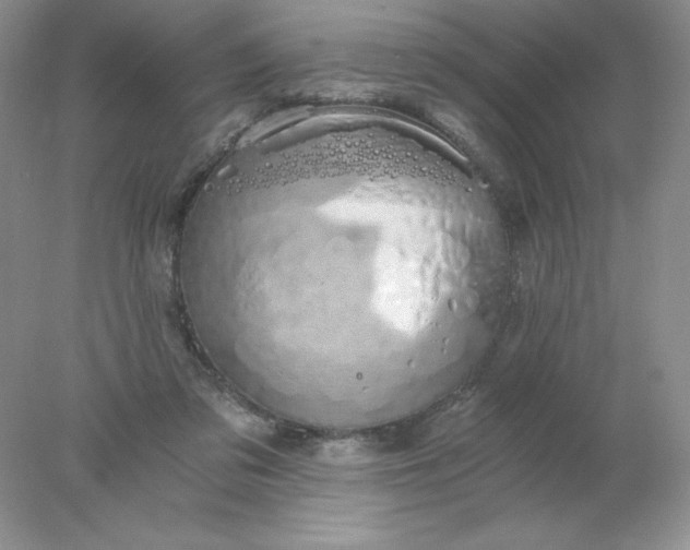 X0000078260309200611172011