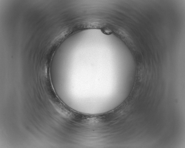 X0000078260310200611172011