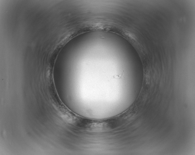 X0000078260314200611172011