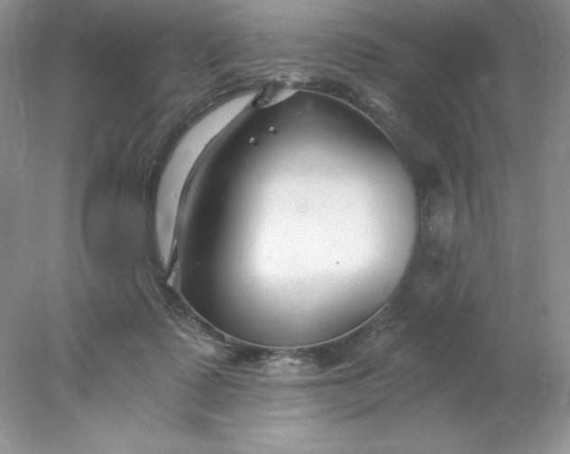 X0000078260315200611172011